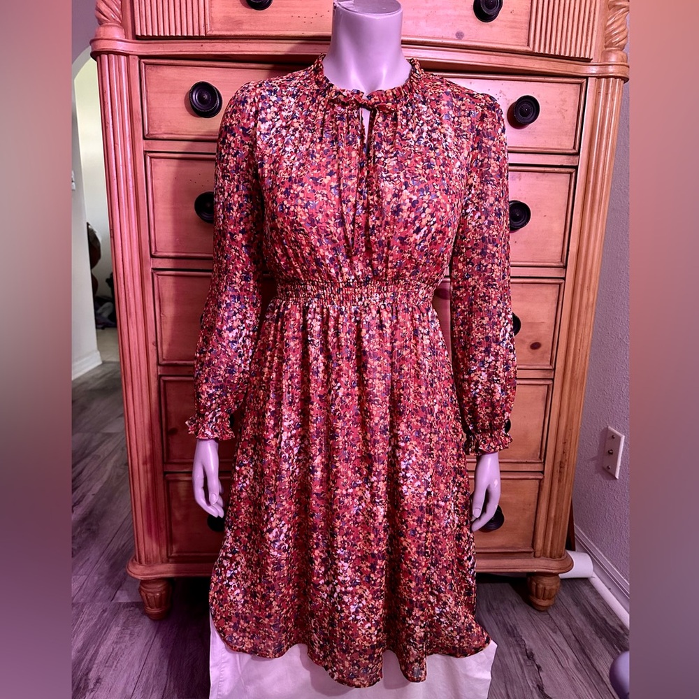Women’s Ptetty Chenault Fall Season Dress Sz Medium NWOT